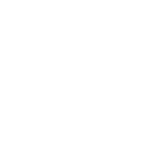 Absorbent